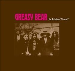 greasy bear - lp